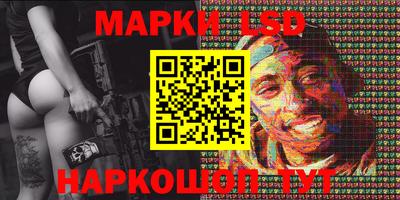 гидропоника Ставрополь