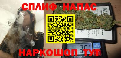 дмт Сланцы