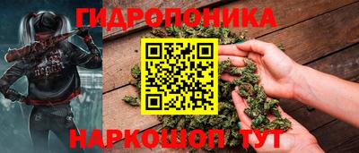 ECSTASY Славгород
