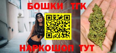 дмт Сланцы