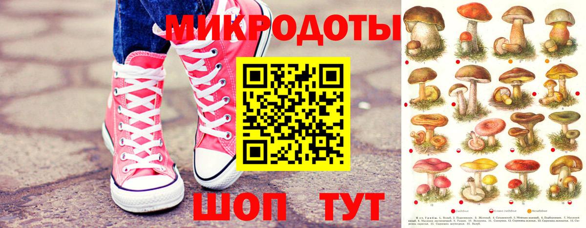 Павловский Посад  Галлюциногенные грибы Cubensis  купить закладку  Вход с VPN  Галлюциногенные грибы MAGIC MUSHROOMS 